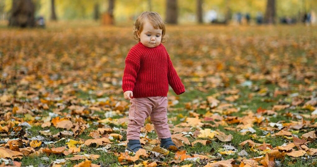 ¿Dónde encontrar ropa de moda para niñas en Panamá? Las mejores tiendas y marcas